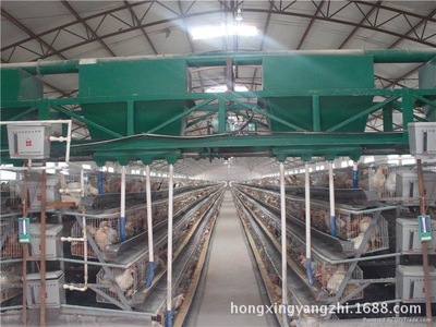 智能化籠養(yǎng)自動(dòng)喂料機(jī) 提升養(yǎng)雞效率的關(guān)鍵設(shè)備
